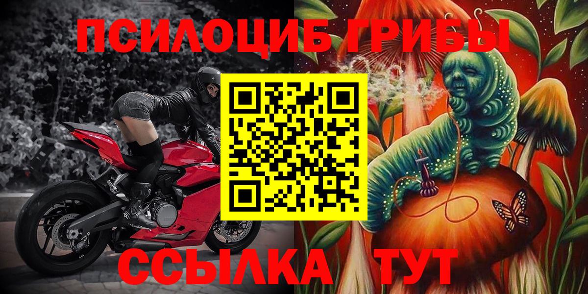 наркотики  Галлюциногенные грибы мухоморы  Верхняя Салда  Вход с VPN  Псилоцибиновые грибы Psilocybe 