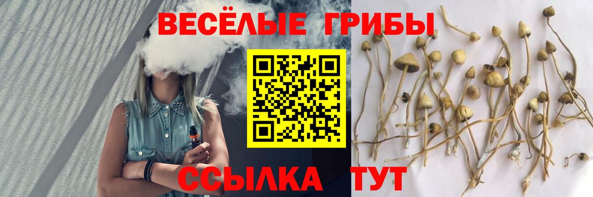 Галлюциногенные грибы GOLDEN TEACHER Верхняя Салда